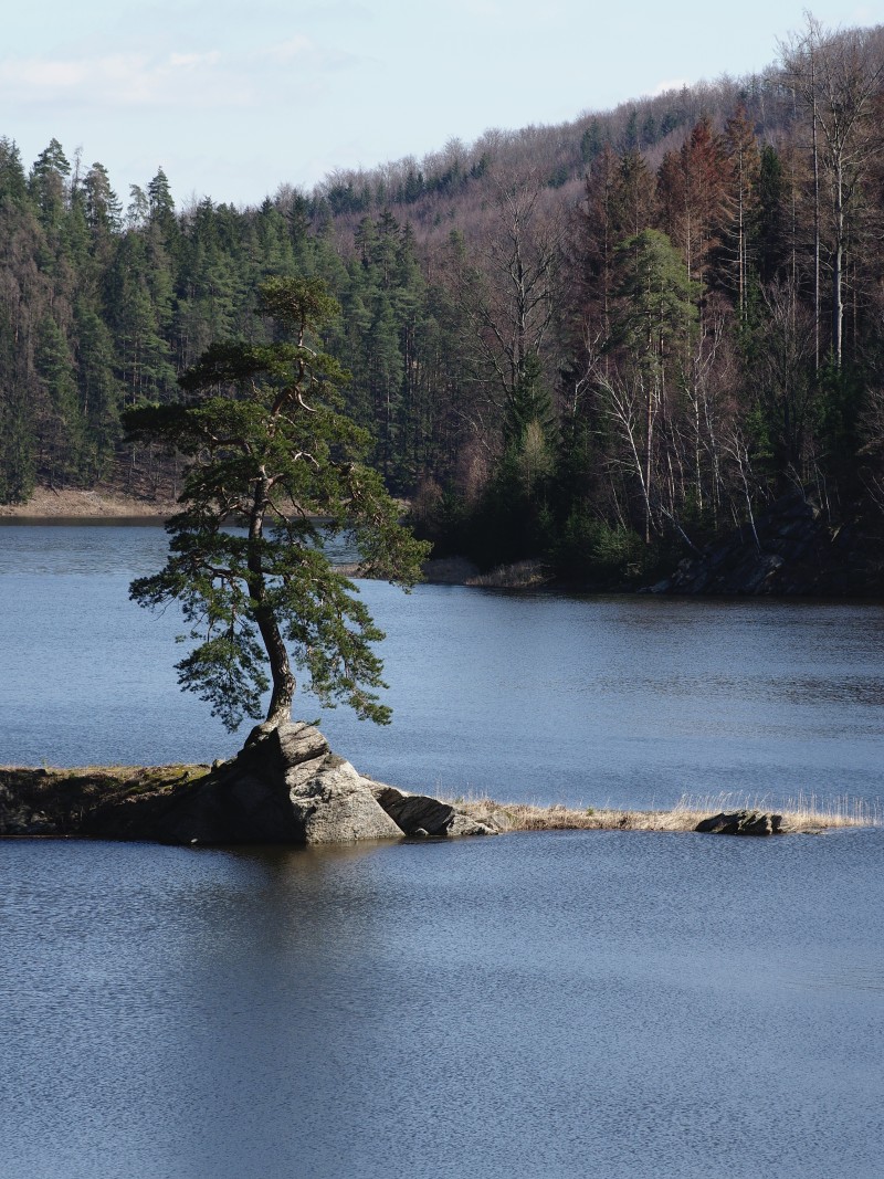 Obrázek