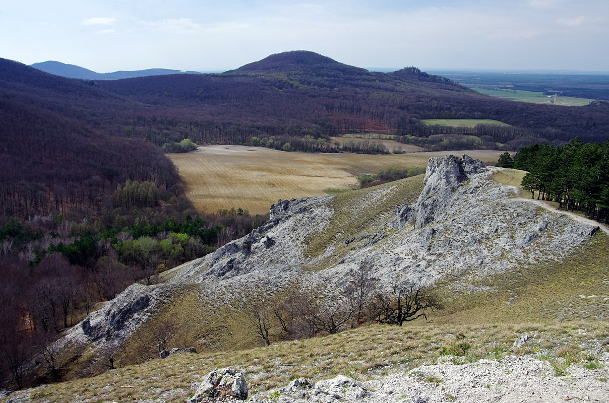 Obrázek