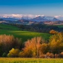 Cacin-NizkeTatry.jpg