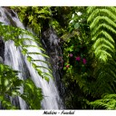 20120801_Madeira_59.jpg