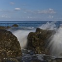 Madeira_285_z_129.jpg