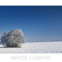 Winter_country-resize.jpg